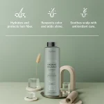 شامپو Lakme مدل Teknia Organic Balance حجم 1000 میلی لیتر - Image 2
