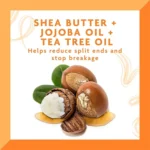 روغن مو Cantu مدل Tea Tree and Jojoba حجم 180 میلی لیتر - Image 4