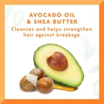 شامپو Cantu مدل Avocado Hydrating حجم 400 میلی لیتر - Image 2