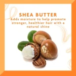 شامپو Cantu مدل Moisturizing حجم 400 میلی لیتر - Image 4