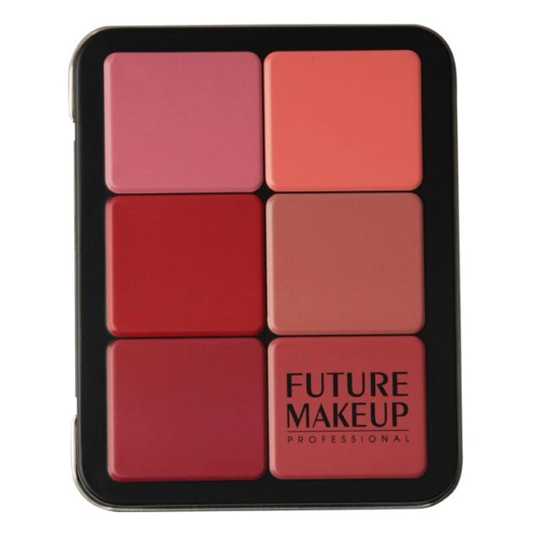 future-makeup-high-definition-contour-blush-palette پالت کانتور و رژ گونه Future Makeup مدل High Definition - Image 1