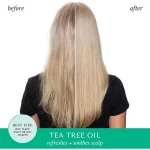 شامپو Hask مدل Tea Tree Oil حجم 355 میلی لیتر - Image 7