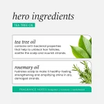 شامپو Hask مدل Tea Tree Oil حجم 355 میلی لیتر - Image 8