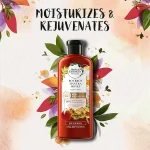 شامپو Herbal مدل Bourbon Manuka Honey حجم 400 میلی لیتر - Image 4