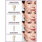 ست براش Sheglam مدل Face Essentials - Image 5
