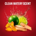 مام ضد تعریق Old Spice مدل Whitewater حجم 50 میلی لیتر - Image 7