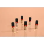 کرم پودر PASTEL مدل Non Stop 2 in 1 حجم 30 میلی لیتر - Image 4